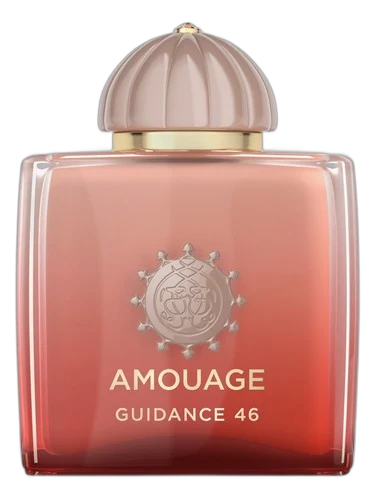 Guidance 46